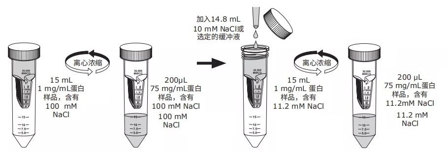 蛋白分子量截留2.jpg