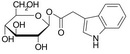 INDOLE-3-ACETYL-1-GLUCOSYL ESTER (IAA-Glc)