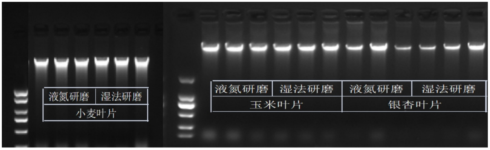 9e8a8c1b7bf953e70fe89e067abb3b34.png